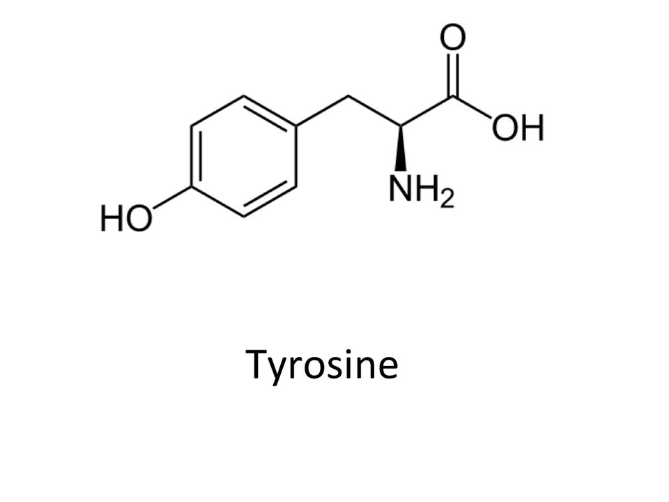 Tirosina in zxcvbnmqwert